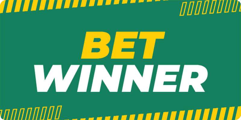 Discover Excitement and Opportunities with Betwinner Sportsbook
